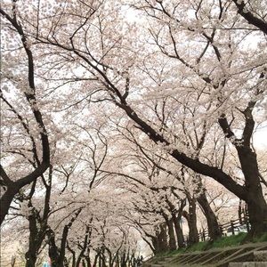 Meet your Posher, Lien